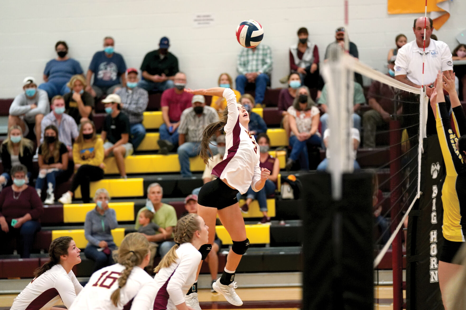 BH VB v Wright 003.jpg
